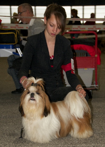 de la magie de lys Glamour