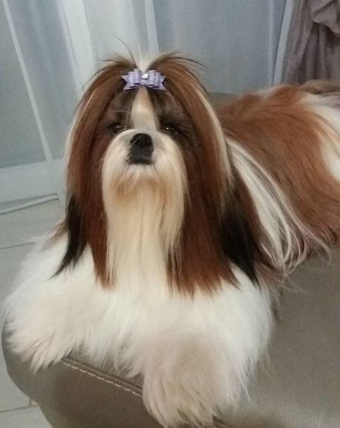 Jalya de la magie de lys